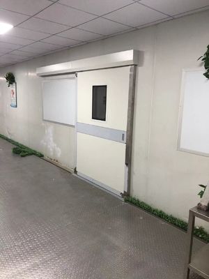 Puerta de acero corredera automática industrial. Capacidad de carga de 1500 kg y IP65 a prueba de intemperie para almacén / muelle